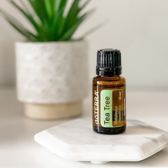 Эфирное масло чайного дерева doTERRA